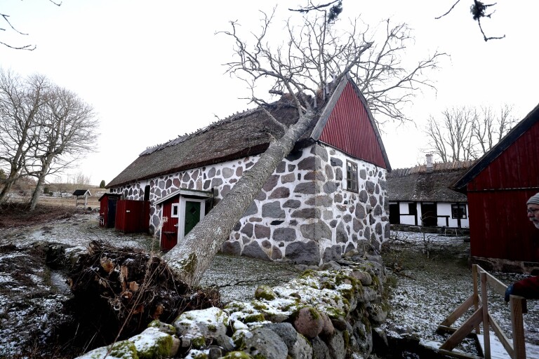 Träd föll över 1700-talsgård: ”Tre, fyra takstolar helt sönder”