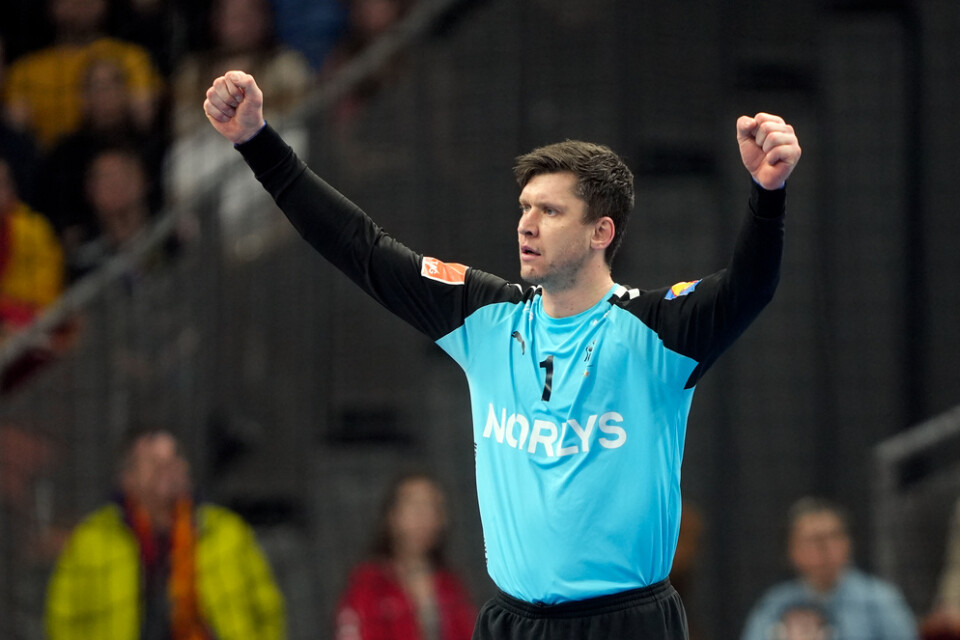 Niklas Landin var viktig i målet när Danmark nådde final.