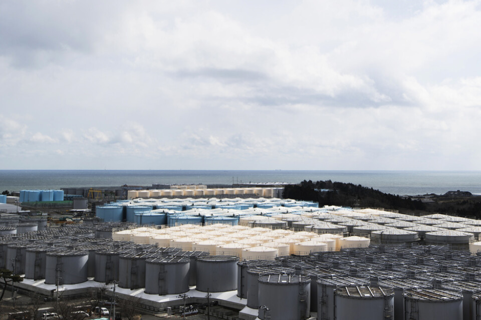 Mängder av tankar med radioaktivt vatten lagras vid kärnkraftverket Fukushima. Arkivbild.
