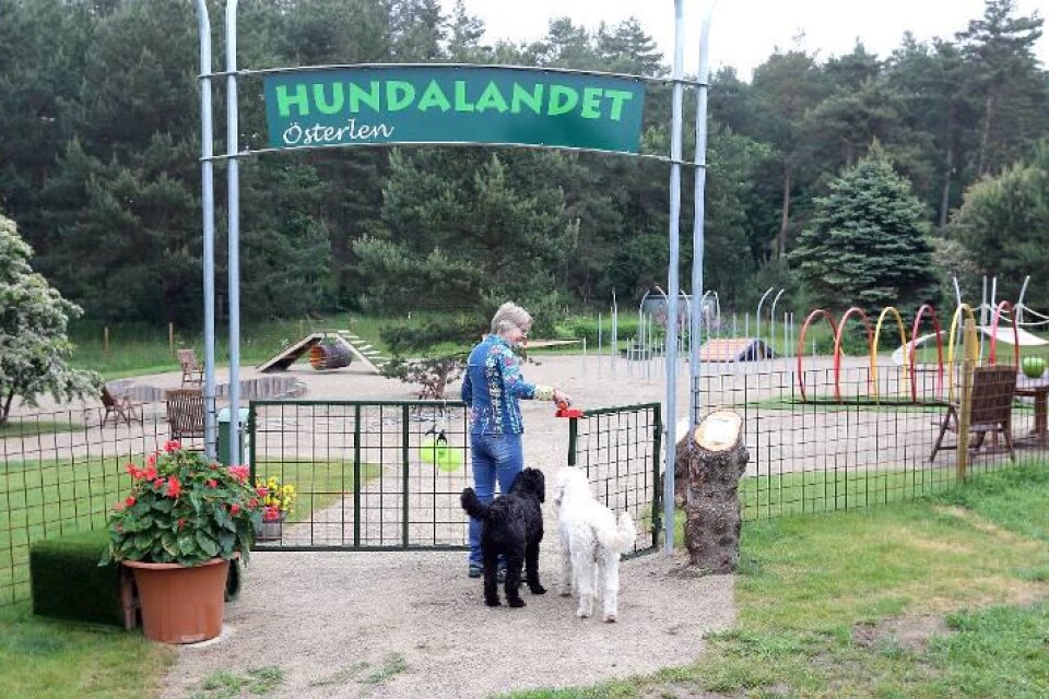 Ingeborg Höök hoppas kunna utvidga lekplatsen med en skulpturpark på hundtema.