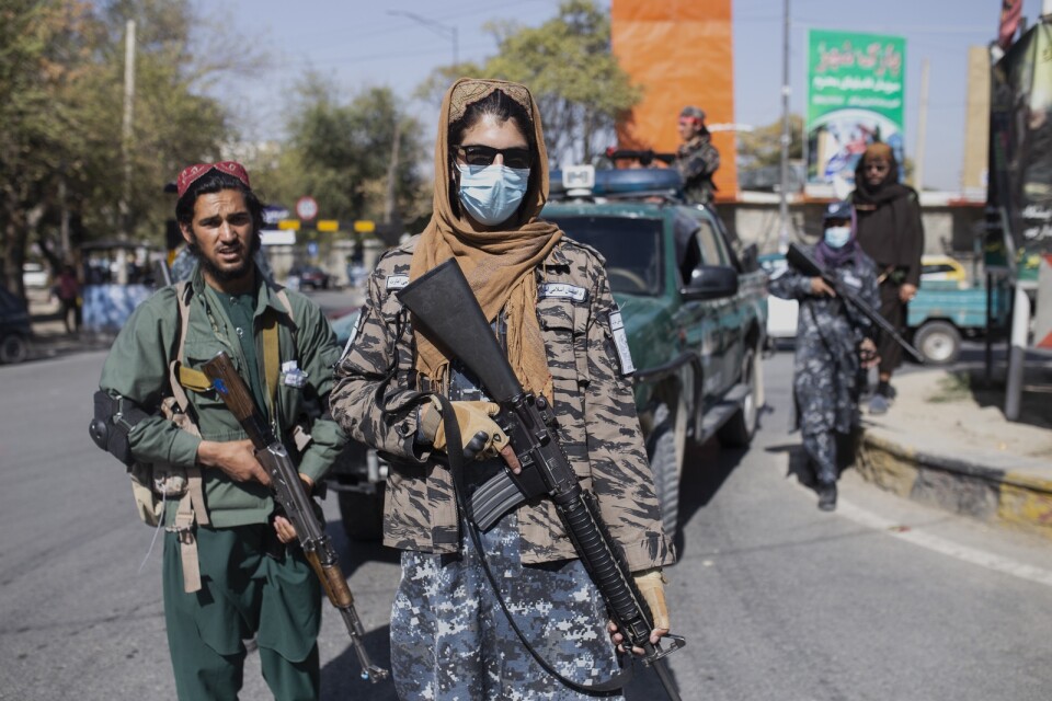 Talibanstridande som står vakt vid en demonstration i Kabul.