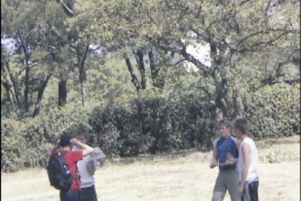 Kartritning. Patrik Karlsson, Ola Nyberg, Sebastian Ljungdahl och Jakob Lööf ägnade många timmar åt att rita en orienteringskarta av Uhuru Park i Nairobi. Foto: Privat