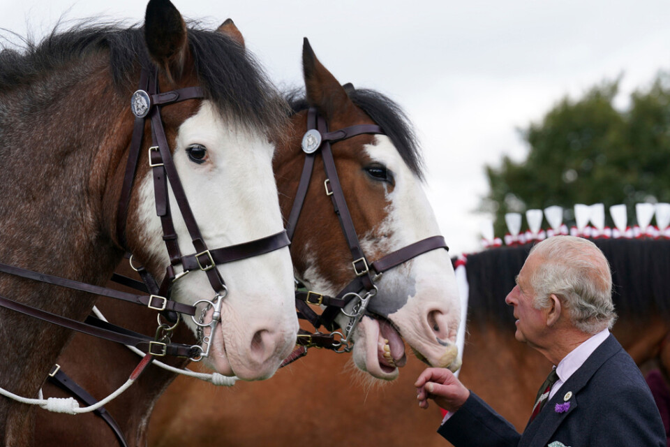 Charles har ärvt sin mammas passion för hästar, här på besök på ett jordbrukscenter i Lanarkshire, Skottland, i onsdags.