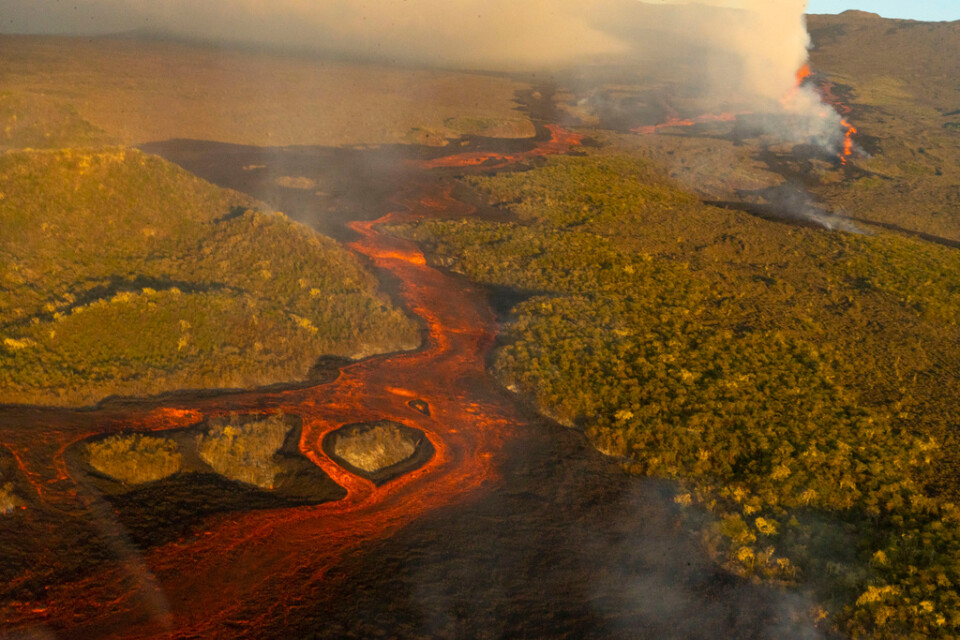 Lava från Wolfvulkanen flödar fram genom nationalparken på den största av Galapagosöarna.