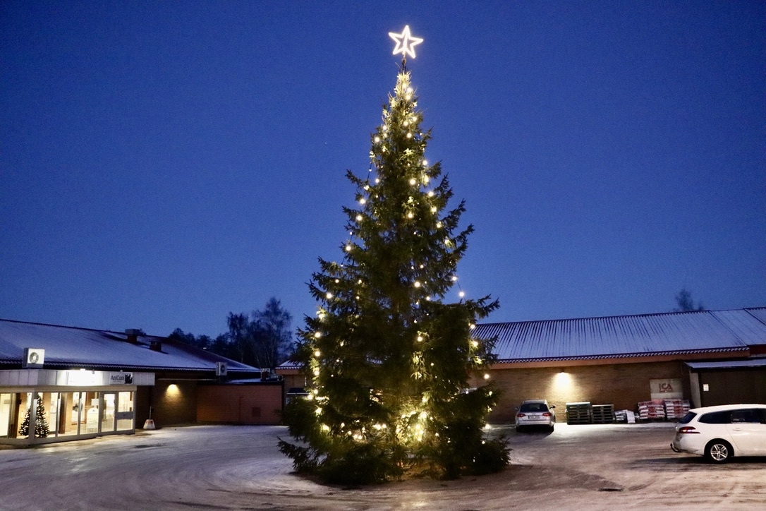 HÖGSBY: Julgranen i Högsby är skänkt av Lindhs djur & natur där den vuxit på deras marker.