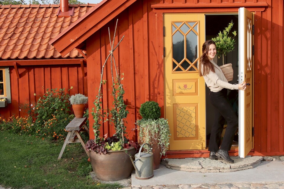 Jag vill även tipsa om att ställa krukorna på små “fötter” eller t.ex sättsten för att göra dem mer tåliga mot kylan. Dörren är från SöderPort och blommorna från Blomsterlandet i Kalmar, skriver Mathilda Hagnestrand.