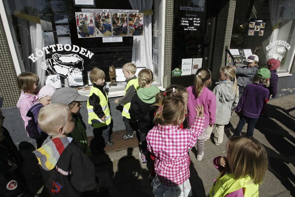 Det saknas förskoleplatser i Hässleholm. Det fylls på med 500 barn årligen. Behovet har kartlagts.                        Arkivbild