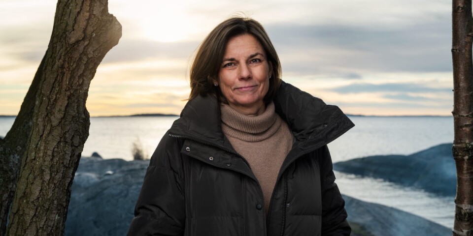 Isabella Lövin debuterade med boken ”Tyst hav” som hon tilldelades Stora journalistpriset (2007) i kategorin Årets berättare och Guldspaden.