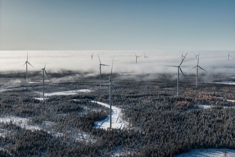 Markbygden 1101 utanför Piteå är Europas största vindkraftspark på land.