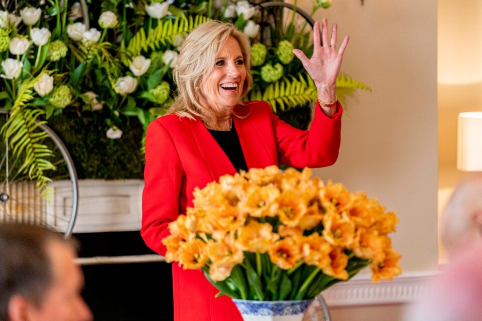 USA:s första dam, presidenthustrun Jill Biden, har fått en nederländsk tulpan döpt efter sig.