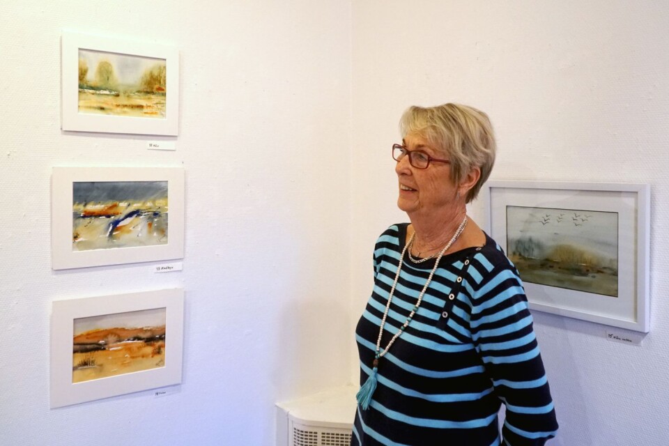 Ingegerd Ahlborgs utställning på Galleri Odinslund är hennes första egna.