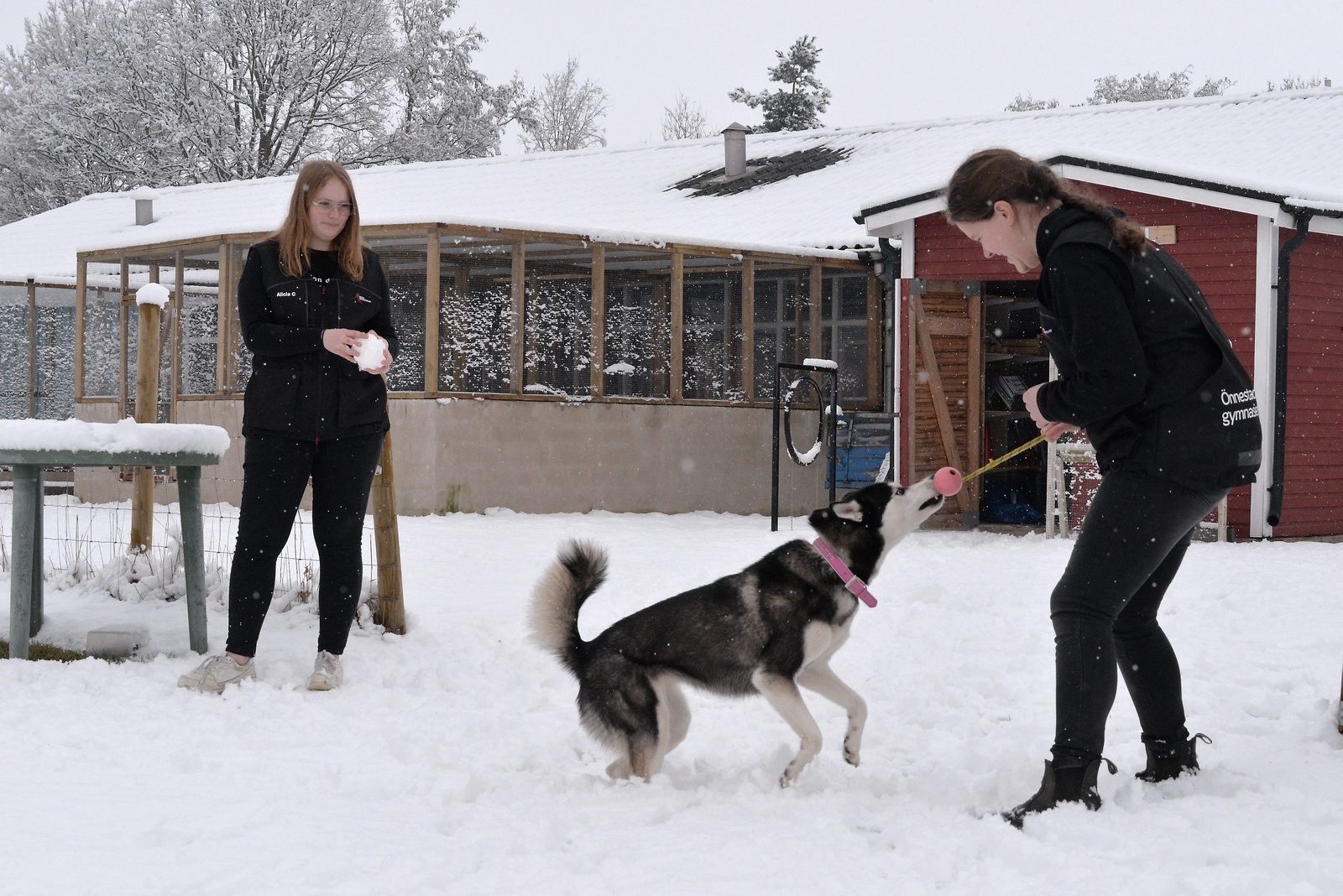 Alicia Cedergren och Ida Wremerth leker med Diva i snön.