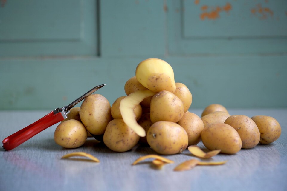 Skördar av Kalmar-potatis skulle kunna bli ännu större och mer kostnadseffektiva.