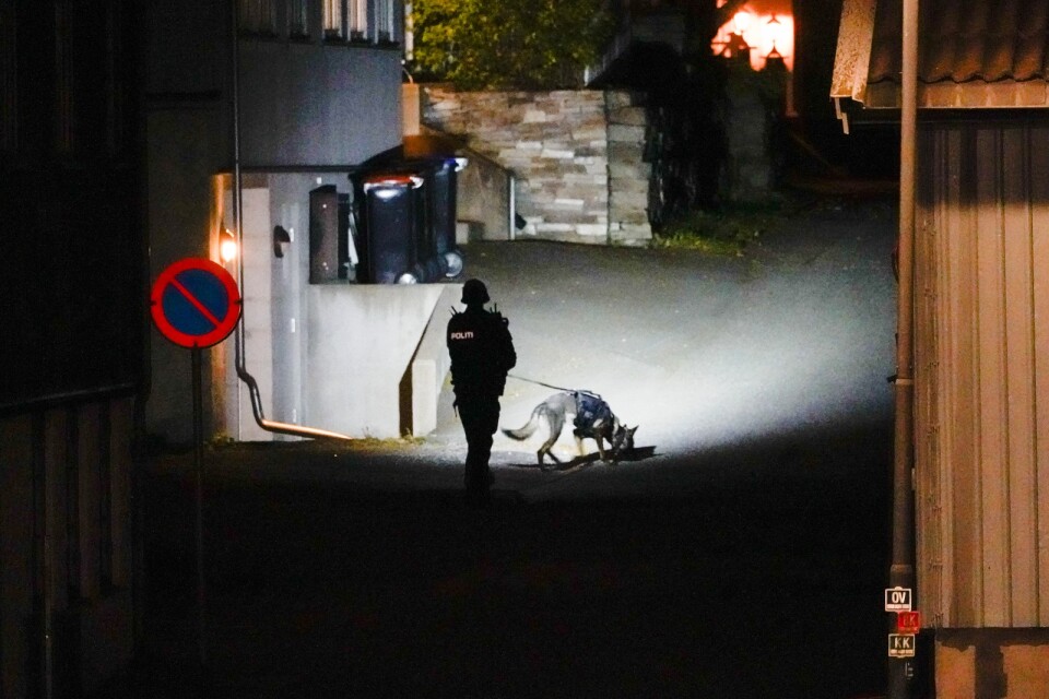 Polisen söker med hund i centrala Kongsberg.