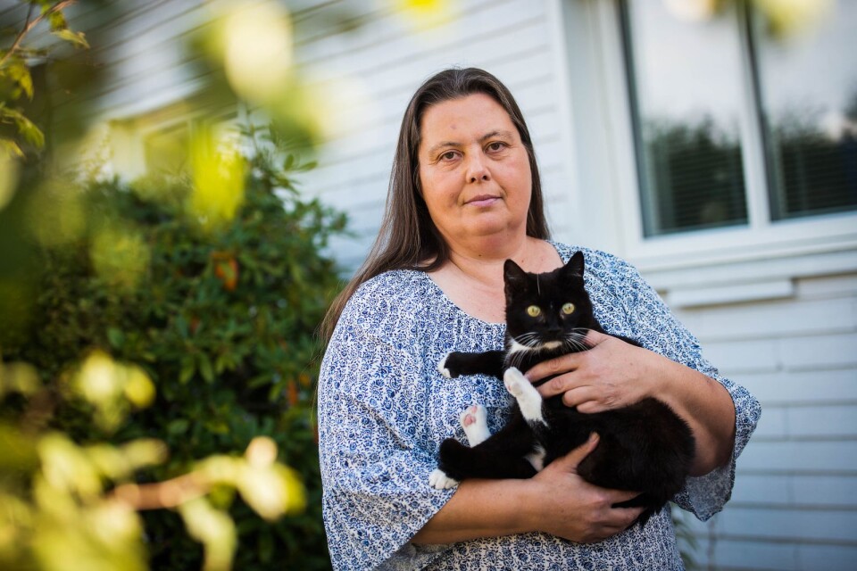 "Vi behöver mer pengar och fler volontärer”, säger Susanne Cederholm, insamlingsansvarig för Kattkommando Syd. Hon är en av många djurvänner som jobbar ideellt.