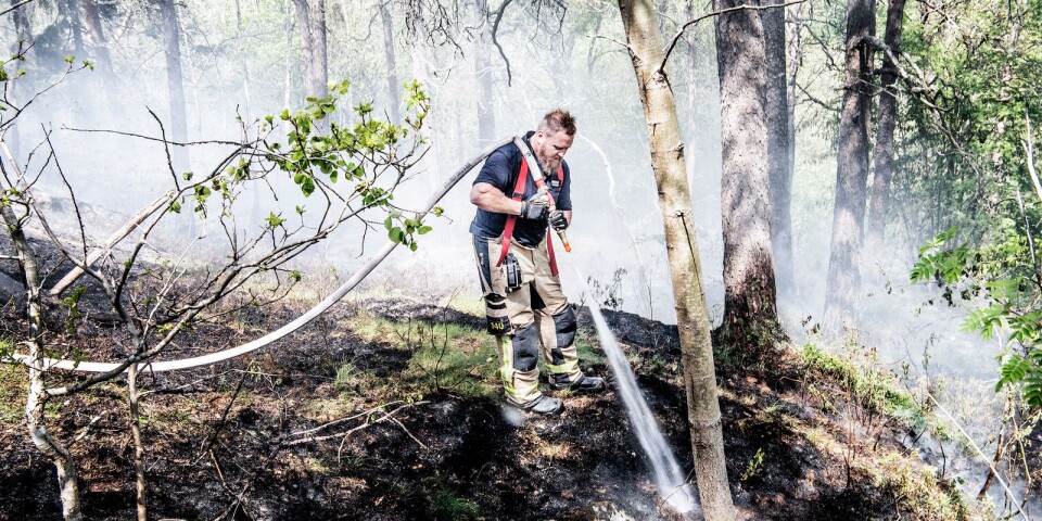 JUST NU: Flera skogsbränder bröt ut - släckningen fortsätter över natten