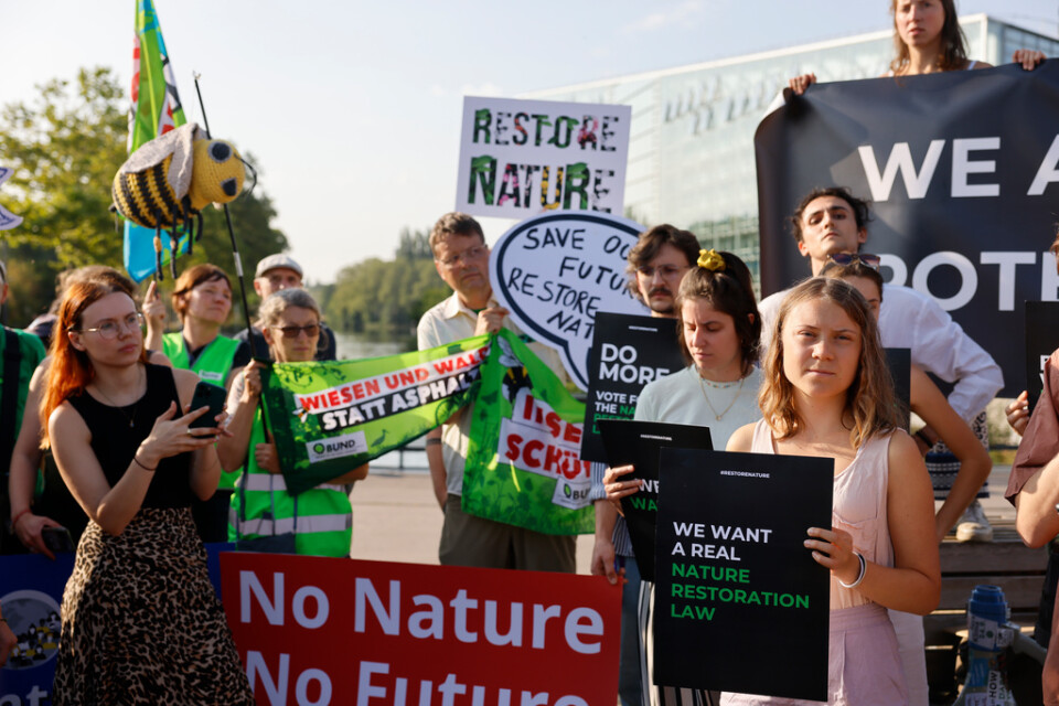 Unga klimataktivister från hela Europa, inklusive svenska Greta Thunberg till höger, utanför EU-parlamentet i Strasbourg.
