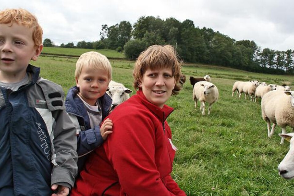 Erika Arnell, här med sönerna Rasmus och Viktor, har förlorat sju får. "Något enstaka angrepp får man acceptera, men det här har passerat gränsen om man ser till allt som hänt i trakten".