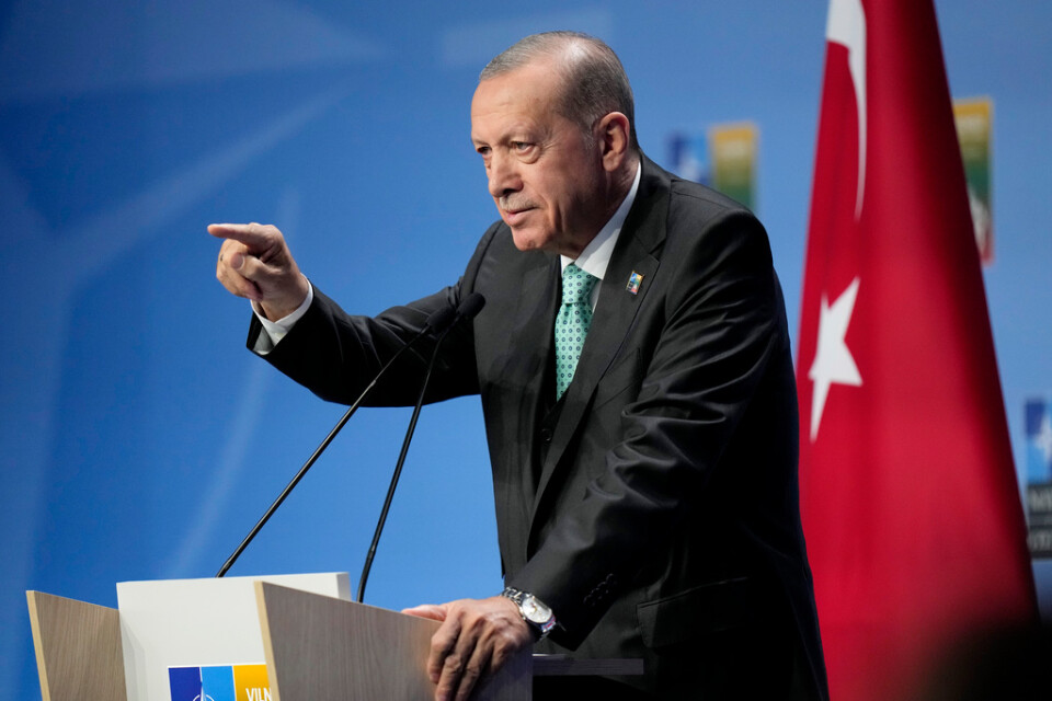 Sveriges Natoansökan kan läggas fram först när parlamentet öppnar igen i höst, enligt Turkiets president Recep Tayyip Erdogan.
