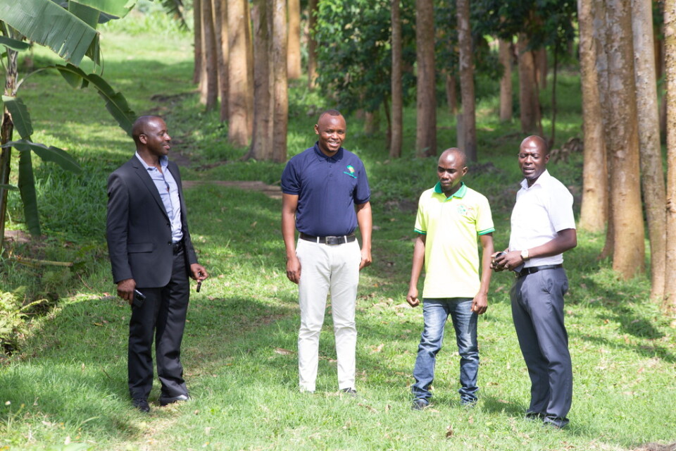 Dickens Kamugisha och medarbetare vid den ugandiska organisationen The Africa Institute for Energy Governance (AFIEGO).