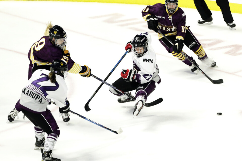Den amerikanska damhockeyligan NWHL planerar att genomföra en hel säsong på två veckor. Arkivbild.