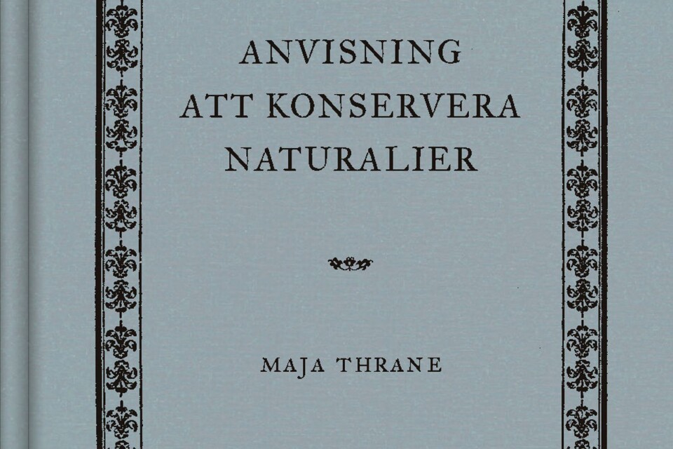 Maja Thranes debutroman.