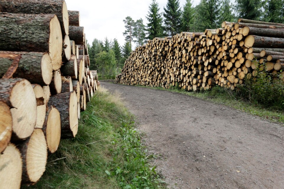 ”Vi kan inte låta skogsnäringens ekonomiska intresse styra hur skogsmiljön ska lämnas över till kommande generationer”, skriver Lennart Turesson.