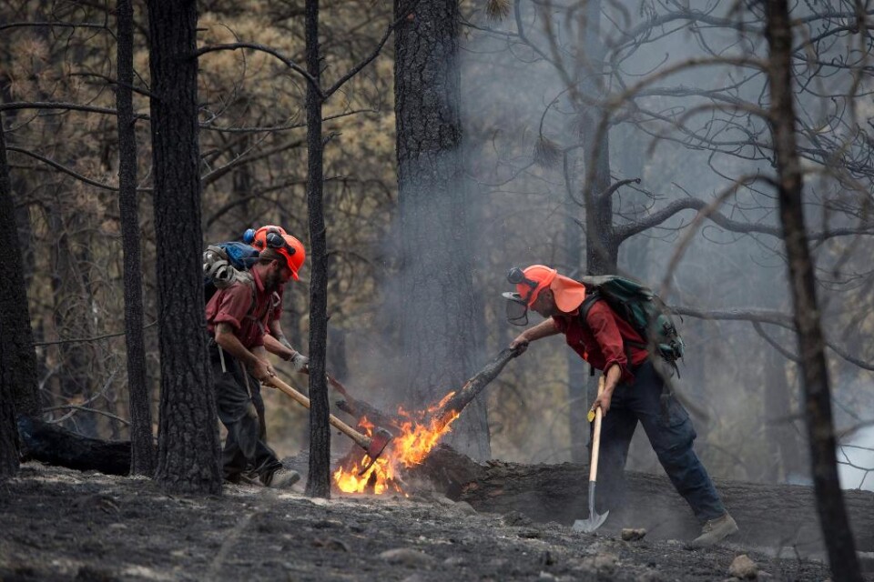 Tusentals människor har evakuerats. Och nu kallas soldater in för att hjälpa brandmännen att bekämpa de många skogsbränder som rasar i Kanada. 13 000 personer har tvingats lämna sina hem i Saskatchewan i centrala Kanada och över staden Vancouver ligger