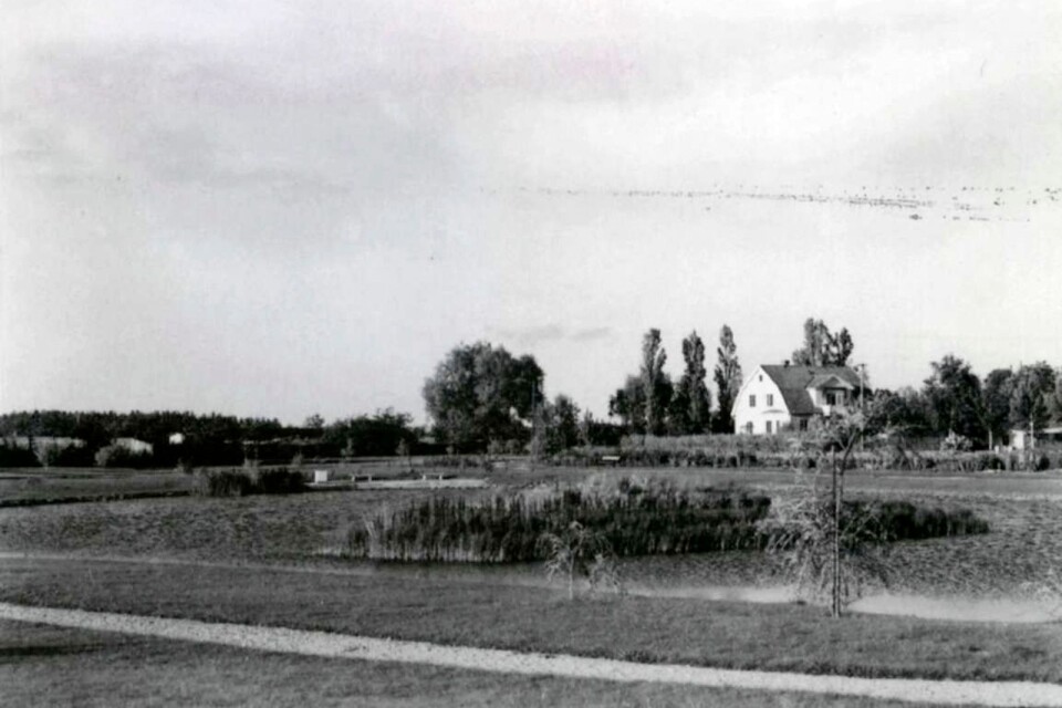 Bäckmans park blev till slut en vacker oas där Stadsingenjör Bertil Smedberg lät plantera en mängd olika buskar, träd och perenner.