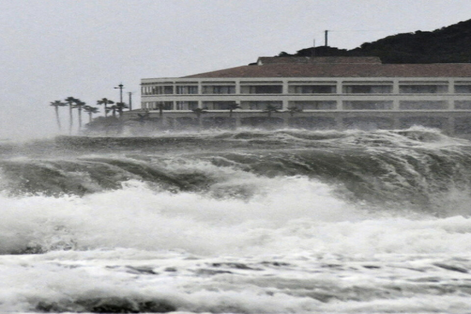 Höga vågor i sydvästra Japan, där den tropiska stormen Krosa rasar.