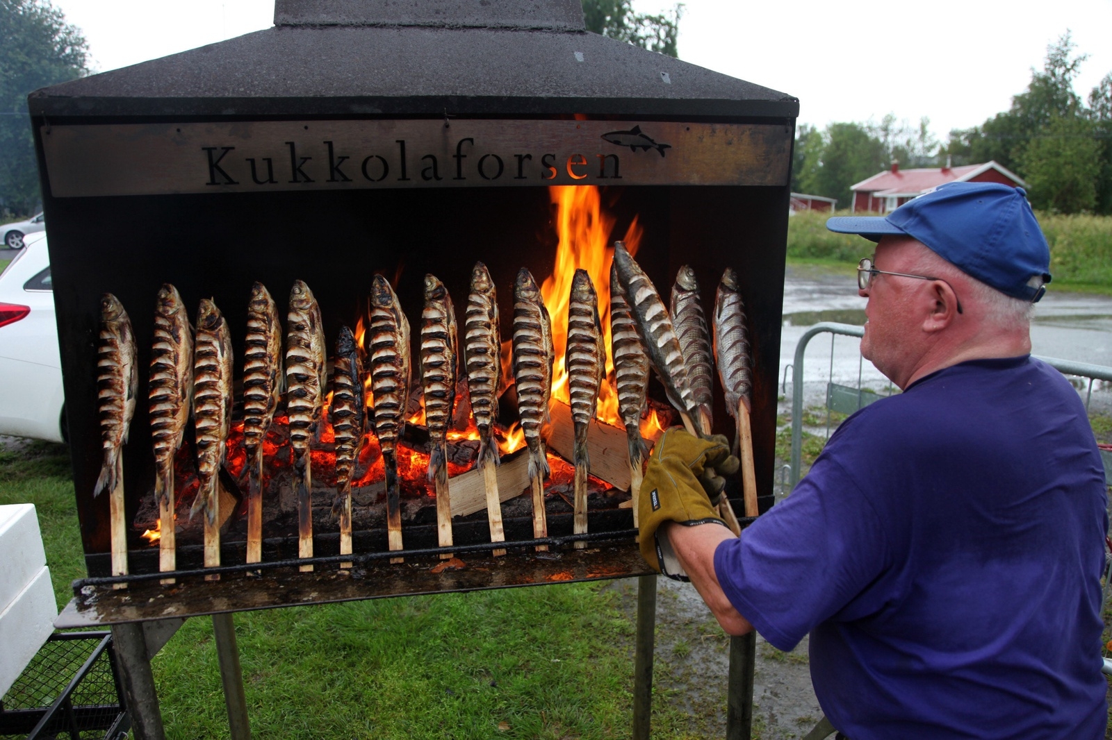 Sven-Ove Lindgren har halstrat sik på åtskilliga festdagar vid Kukkolaforsen.
