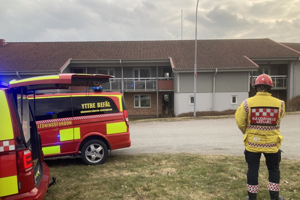 ”Det brann ganska kraftigt i en lägenhet på första våningen när första styrkan kom på plats. Det var en utvecklad brand,” säger räddningsledare Mikael Svensson.