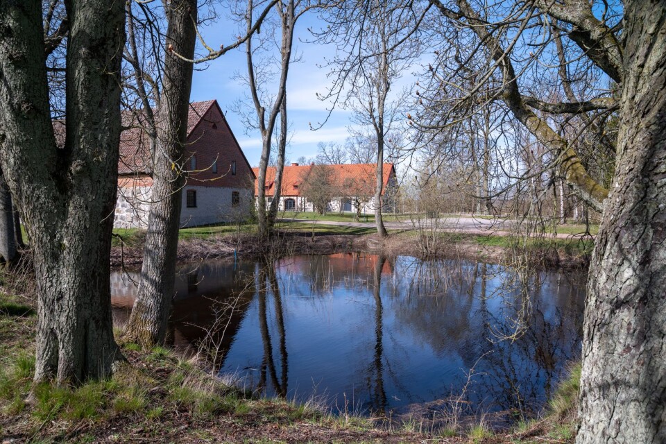 Näsby Gård ligger vackert inbäddat i naturen.