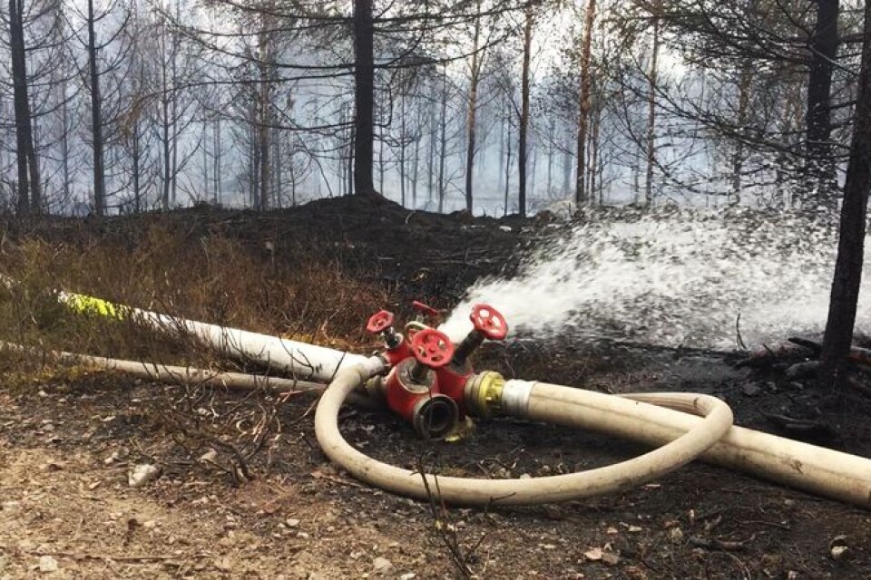 Omkring 160 hektar skog förstördes vid skogsbranden i Uppvidinge kommun.