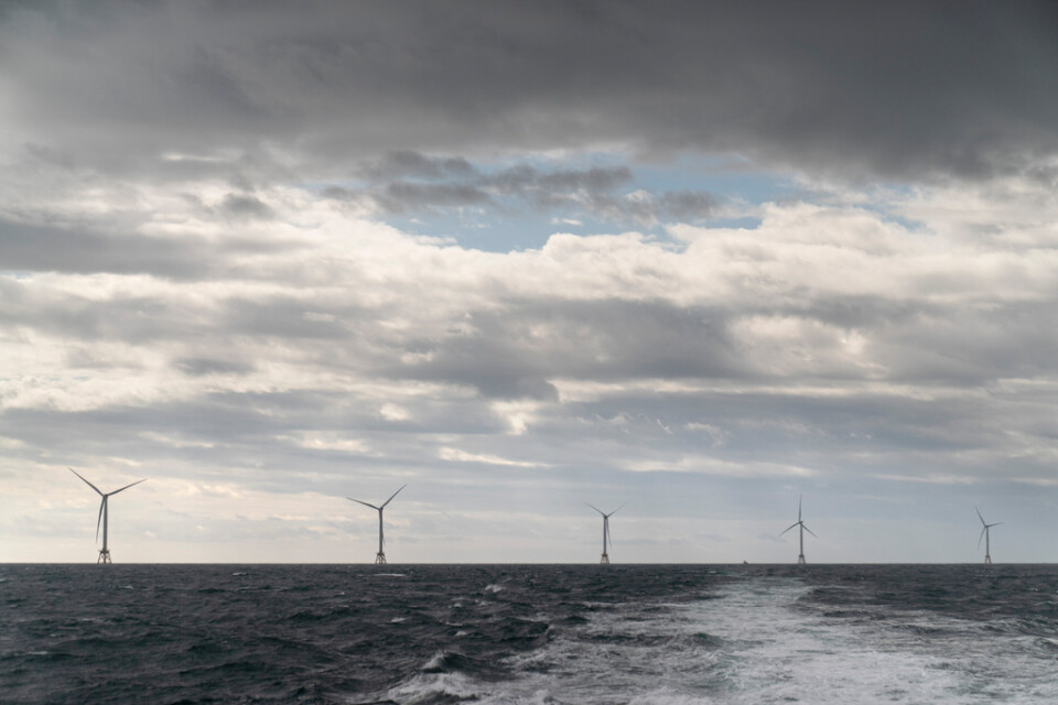 Ørsted har även stora vindkraftsprojekt i Asien och Nordamerika, som här utanför kusten av Rhode Island, USA. Arkivbild