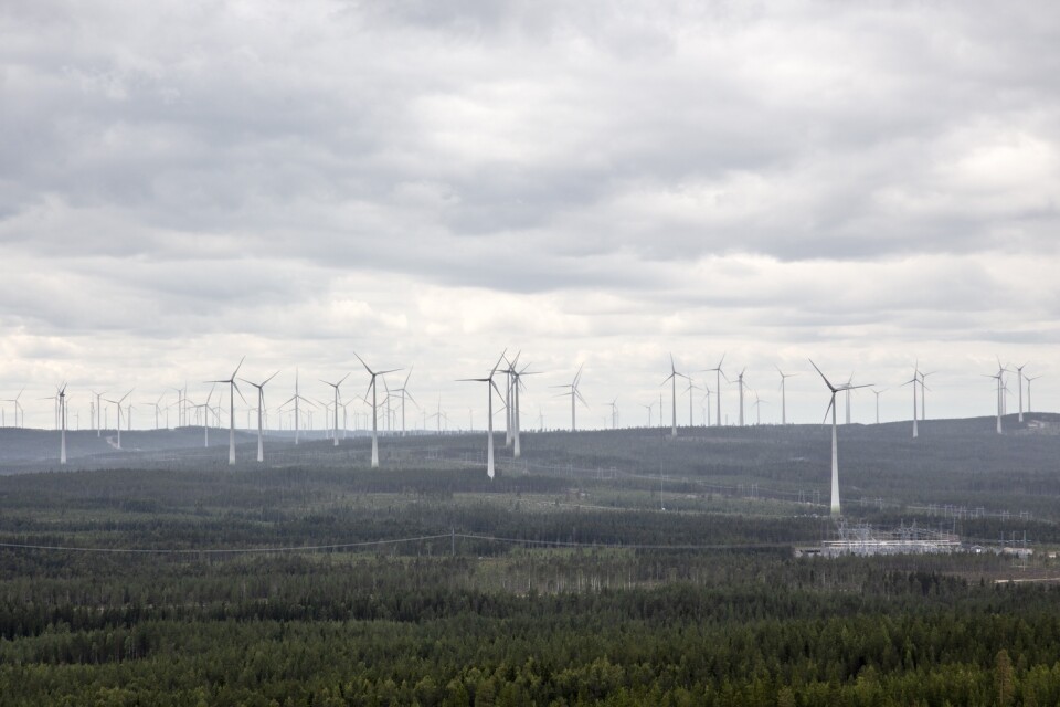 Framtidens vindkraftsparker kan delvis komma att bestå av vindkrafttorn i trä, enligt Vattenfall. På bilden syns vindkraftverk i Piteå. Arkivbild.
