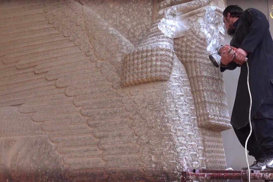 Terrorgruppen Islamiska staten (IS) har börjat skövla den antika assyriska staden Nimrud, uppger irakiska myndigheter. Skövlingen av fornminnena genomförs med tunga fordon, enligt uppgifter som sprids via internetforumet Facebook. Iraks riksantikvarieäm