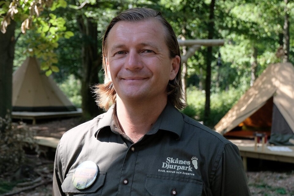 Efter knappt fem på posten som vd för Skånes djurpark lämnar Kasper Schumacher uppdraget och blir istället en av toppcheferna på Tivoli i Köpenhamn. Arkivbild