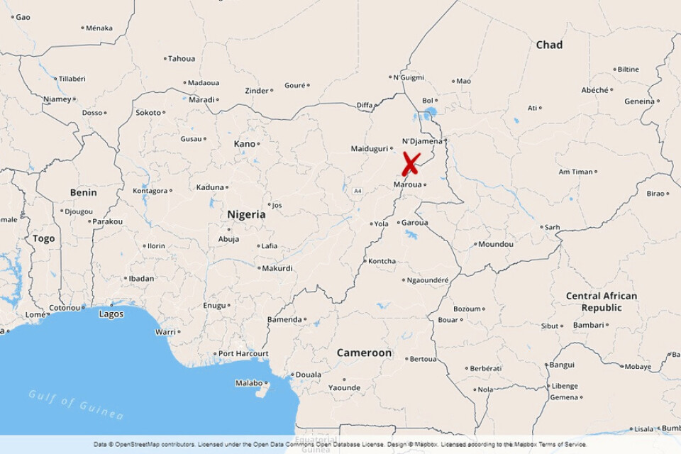 Jihadister har dödat sex soldater i ett bakhåll i nordöstra Nigeria, enligt militära källor.