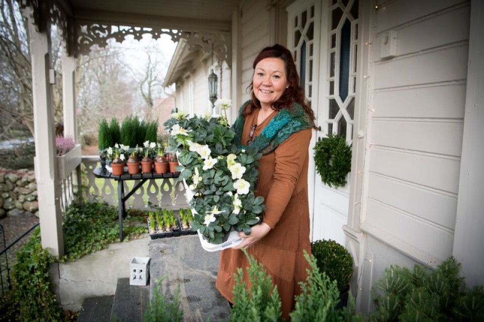 Charlotta Ehring Buckle brinner för djur och natur. Som trädgårdsmästare och nu även butiksägare är det viktigt att främja flora och fauna.