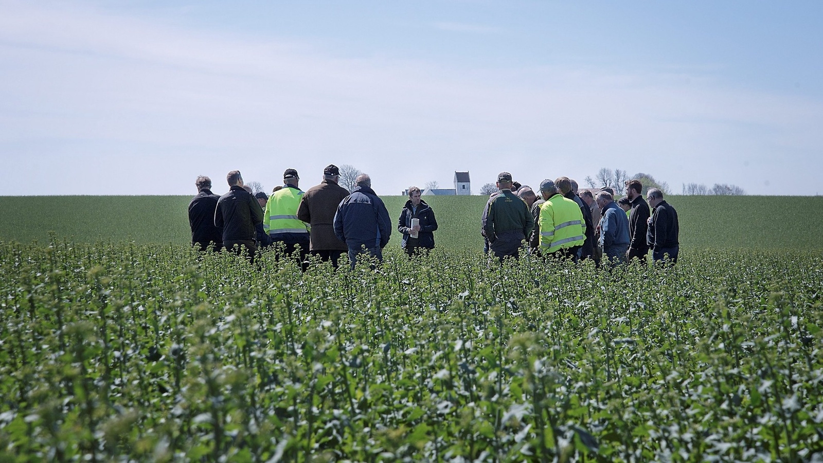 25 lantbruk are deltog i markvandringen på Grönadals ägor. Skegriebygden och Hammarlövsbygdens LRF-avdelningar stod som värd. Foto: Jakob Hydén