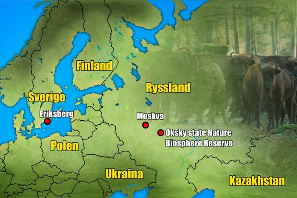 Visenterna flyttas från Eriksberg till parken utanför Moskva.