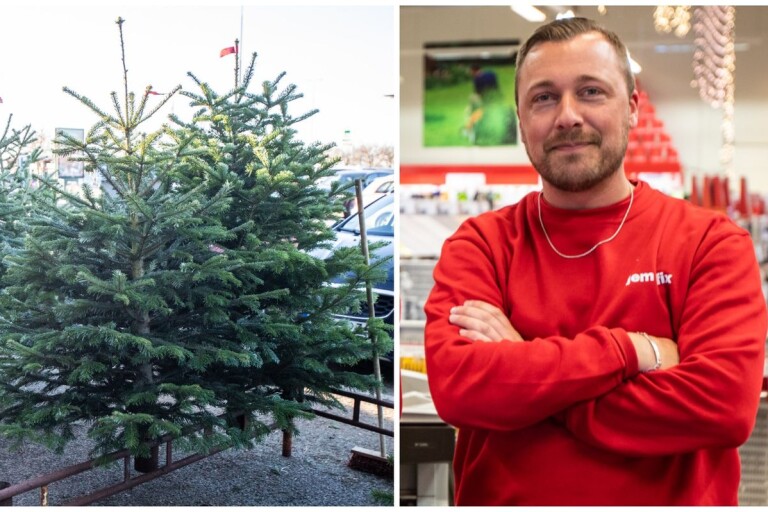 1 700 julgranar i Trelleborg sålde slut på rekordtid
