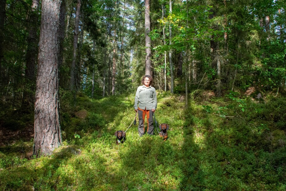 Karin Ek, Årets skogskvinna 2022, brukar skogen som tillhört släkten sedan 1812. Här tillsammans med hundarna Gita och Månhöjdens Helga.
