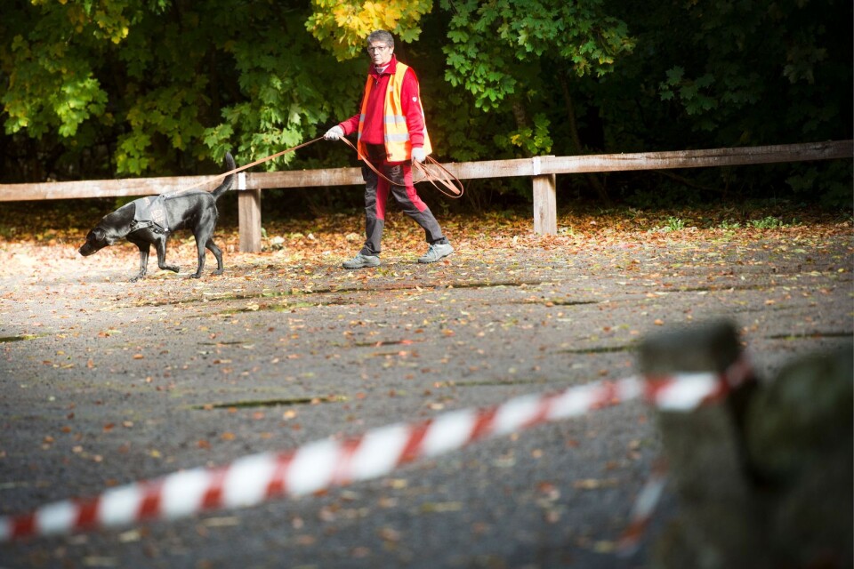 Eva-Karin Lindberg söker med hunden Loke. Ekipaget har lyckats konstatera att den försvunna VM-hunden Leela är kvar i området.