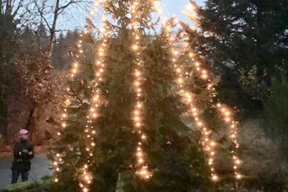 شجرة عيد الميلاد في Hylta عام ٢٠١٩