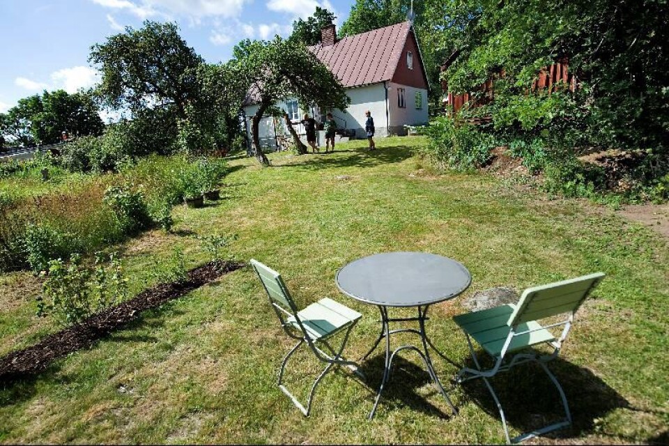 Begynnande oas i trädgården. Tio kvadratmeter i taget röjs i vildmarken på tomten.