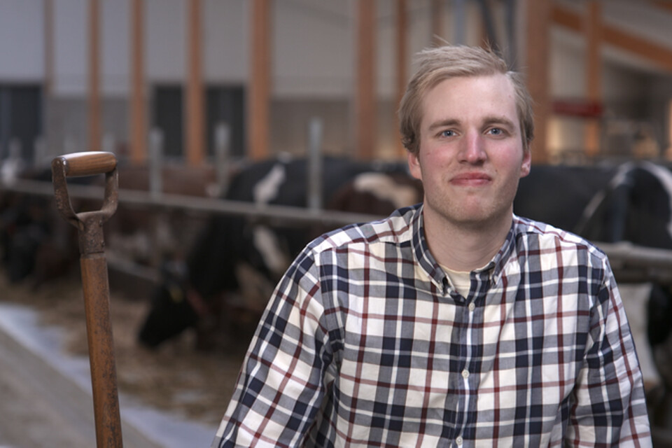 Mjölkbonden Simon Ohlsson hoppas på en trevlig sommar där han hittar kärleken.