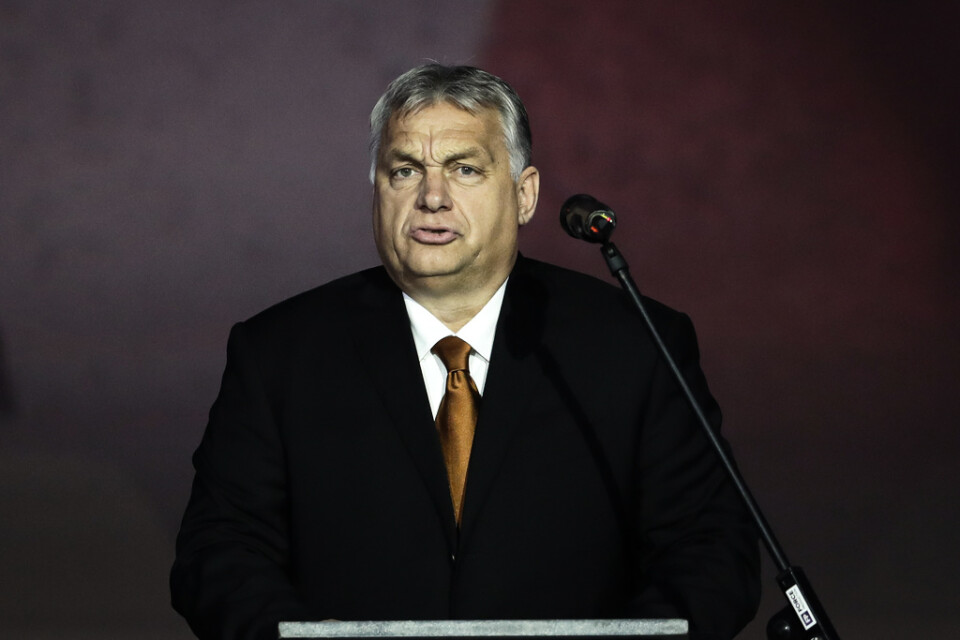 Ungerns premiärminister Viktor Orbán. Bilden är tagen den 17 november.