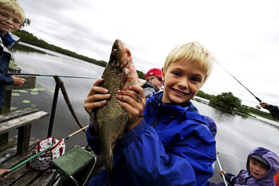 Sebastian Svennesson hade fiskelycka på metartävlingen igår i Sjöbergasjön. Han fick bland annat två braxar och vann knatteklassen. FOTO: LISA SUNDSTRÖM/BILDBYRÅN